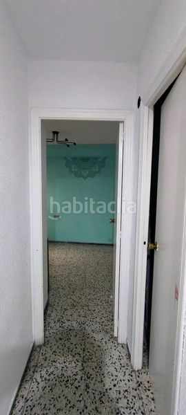 Foto b8893fb1-7464-4195-adb1-22a546fc3af8. Pis a Carolinas Bajas Alicante