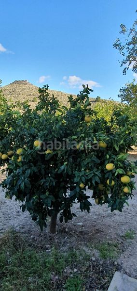Foto 24e4f2aa-9338-46ce-8de0-fbd692238a8d. Masia a Aigües