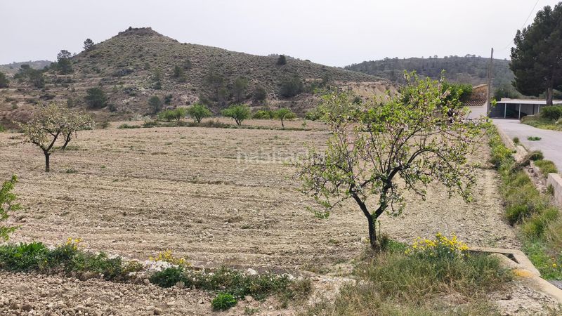 Foto 27b1df31-0c71-4362-ba37-d25048832d25. Masia a Aigües
