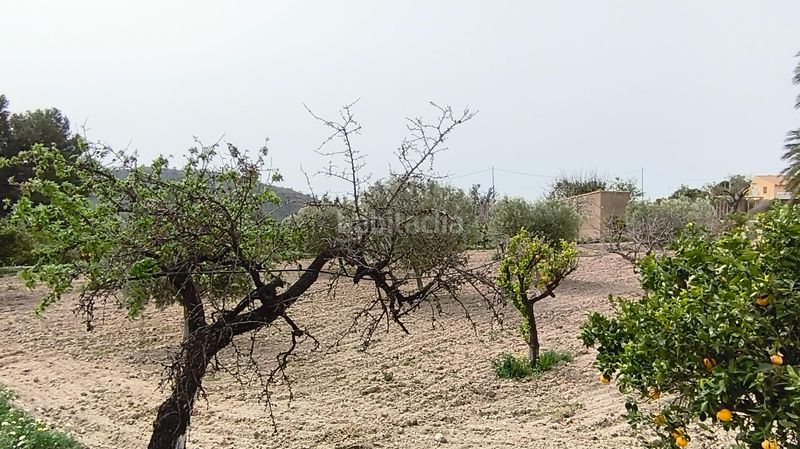 Foto 703b9a7f-0294-400b-80d9-2b8e59cdda47. Masia a Aigües