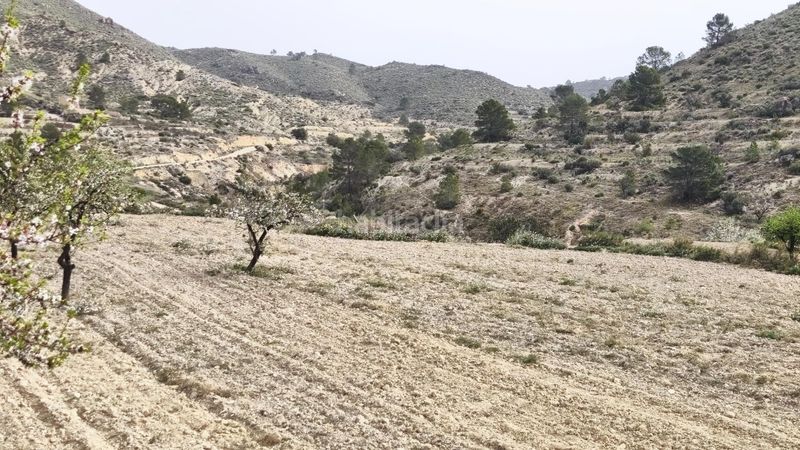 Foto a3f7928e-7822-4e0b-a92d-4850075f1f59. Masia a Aigües