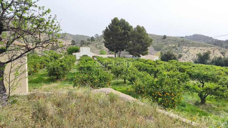 Foto bf1c86ae-6de6-4230-87b5-0cf40689a00e. Masia a Aigües