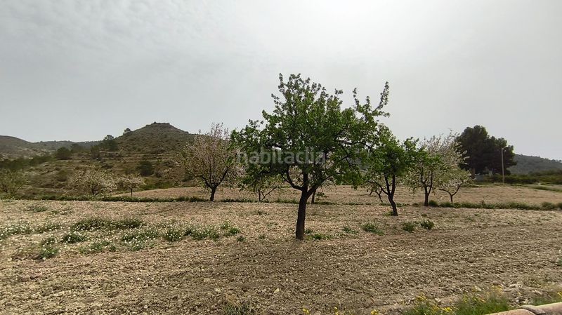 Foto f2a83de7-5fba-467f-ba2b-8b6344d5e9a1. Masia a Aigües