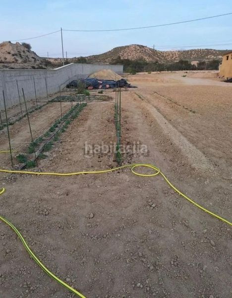 Foto c648959a-4eba-42df-ba39-3fb2ff4a53ab. Lloguer xalet amb calefacció aparcament a La Huerta Mutxamel