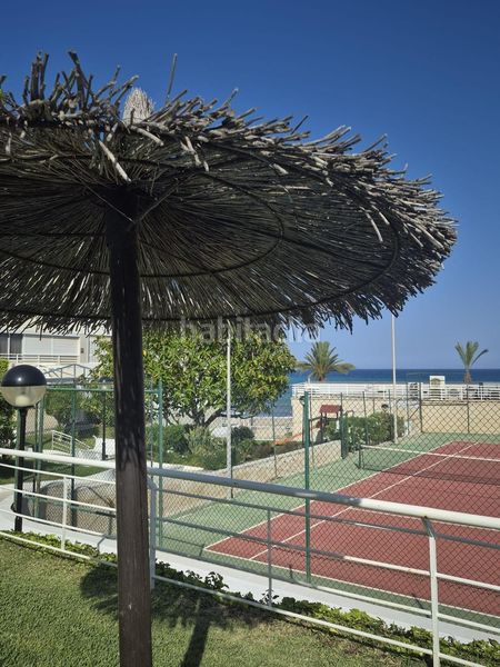 Foto 53737b81-89ea-4f9d-a818-ba6d223209d5. Lloguer pis amb aparcament piscina a Playa Muchavista Campello (el)