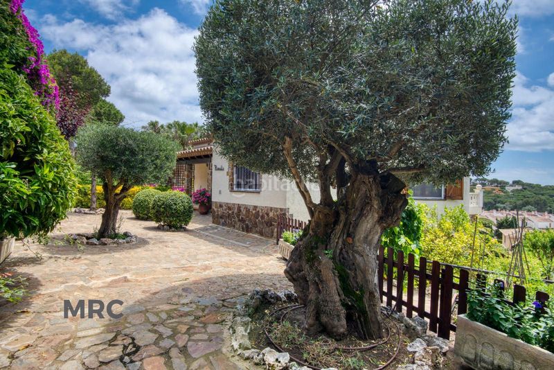 Foto 8e76dd7d-9c54-446a-a92b-f82774de8f98. Casa amb calefacció aparcament piscina a Torre Valentina-Mas Vilar de La Mutxada-Treumal Sant Antoni de Calonge