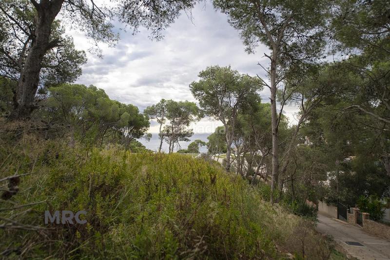 Foto f31086af-5594-4311-a0a9-b40d0076bbea. Flat in Tamariu