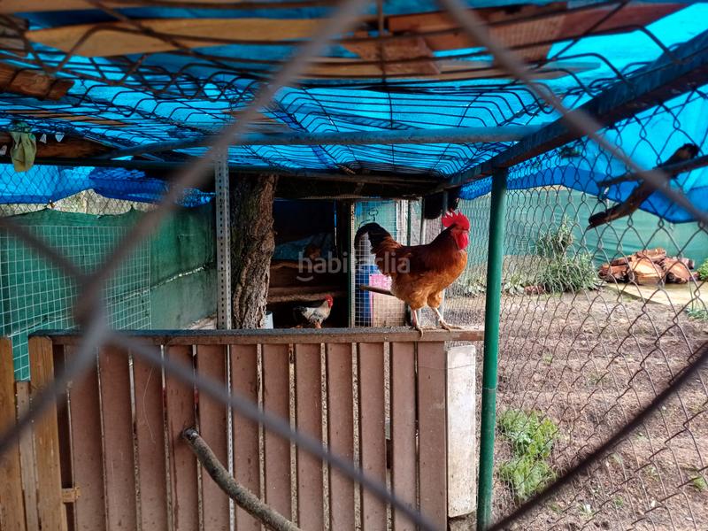 Foto 2af9c629-ed18-4870-ac5d-bcfd1f3b5895. Xalet amb aparcament piscina a La Goba Vidreres