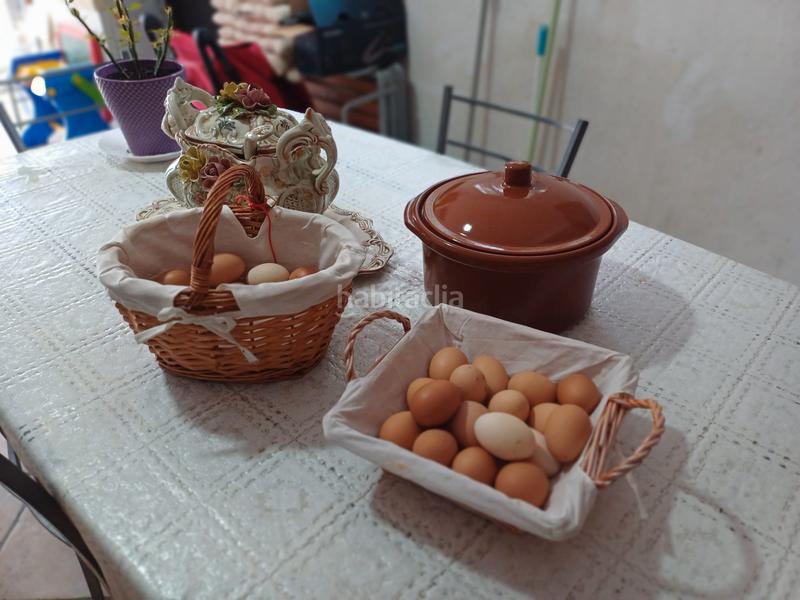 Foto 3d13db4b-6a81-4e69-9beb-6dca22e4e98b. Xalet amb aparcament piscina a La Goba Vidreres