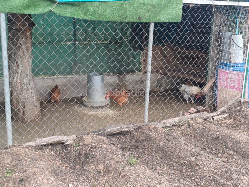 Foto f3c17d5e-5a26-48d9-a062-5a815d3fa4ad. Xalet amb aparcament piscina a La Goba Vidreres