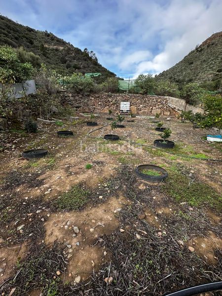 Foto 3b9bf5d3-8487-421f-9c19-7383087899b1. Finca rústica a Valsequillo de Gran Canaria