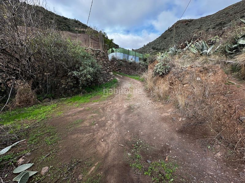 Foto 45af585b-c947-4466-91d5-d333cec12097. Finca rústica a Valsequillo de Gran Canaria