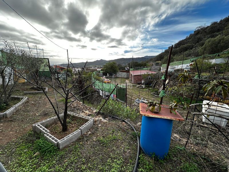 Foto 5597da9a-e8d4-4c8c-9bb7-2e6931774eed. Finca rústica a Valsequillo de Gran Canaria