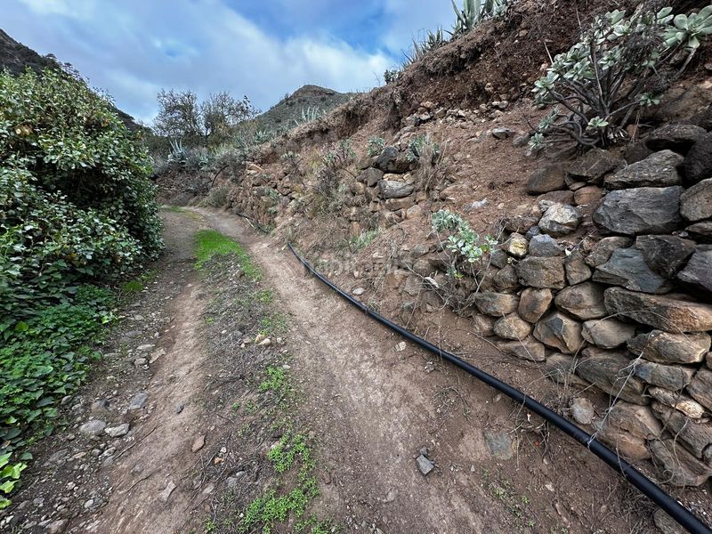 Foto a8946ec2-4878-4259-bcaa-f97b07ab100b. Finca rústica a Valsequillo de Gran Canaria