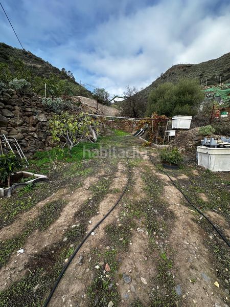 Foto c8771b23-736d-4428-9442-3e1eb525d375. Finca rústica a Valsequillo de Gran Canaria