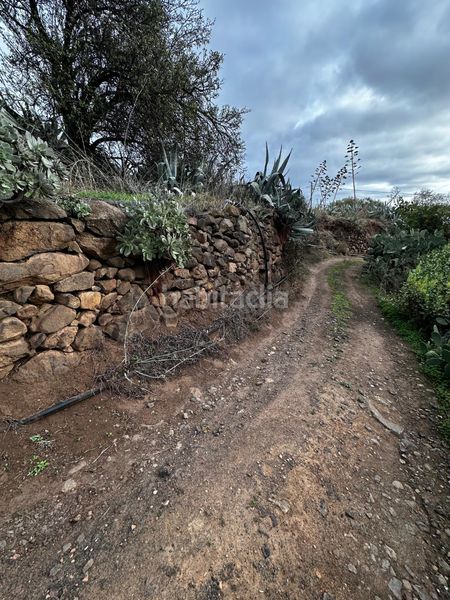 Foto e664341f-59ff-4529-87ae-711d8ea0a73f. Finca rústica a Valsequillo de Gran Canaria
