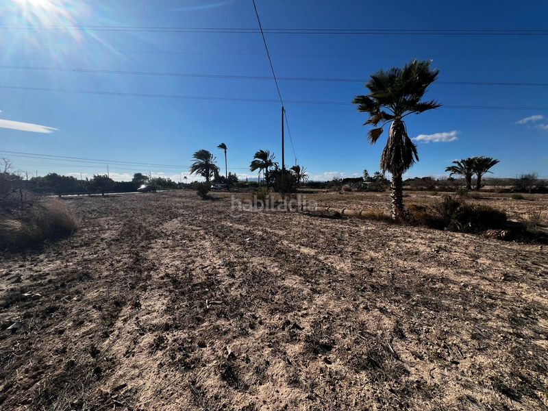 Foto 4ad5a632-7779-49a8-8a52-484c0ae15e67. Casa a Perleta - Maitino Elche / Elx