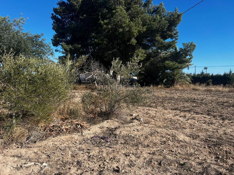 Foto 77113161-fea9-4288-ae8d-d1e30a480582. Casa a Perleta - Maitino Elche / Elx