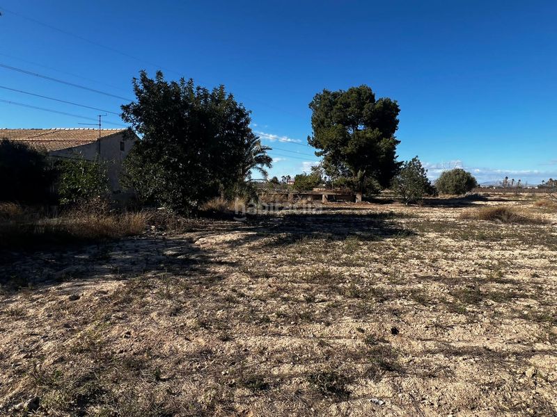 Foto 84101967-efbe-403b-949b-eb2efac75915. Casa a Perleta - Maitino Elche / Elx