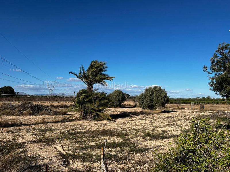 Foto a0f9f6c7-508a-44ae-8fe3-b4abc6322f7b. Casa a Perleta - Maitino Elche / Elx