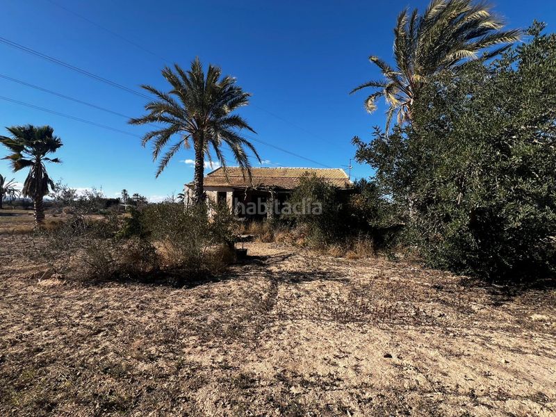 Foto b9204b5a-9475-475f-9408-f26a40570bc7. Casa a Perleta - Maitino Elche / Elx