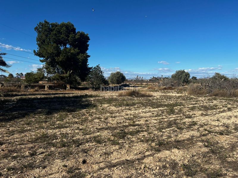 Foto c34edf6a-8d15-4120-80bb-4f5d79b3850a. Casa a Perleta - Maitino Elche / Elx