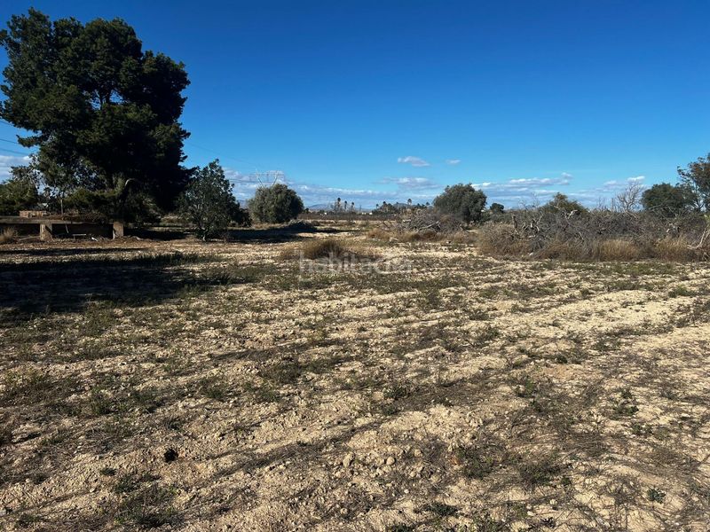 Foto ed4446c1-5850-4a86-a9a9-9a33096c2306. Casa a Perleta - Maitino Elche / Elx