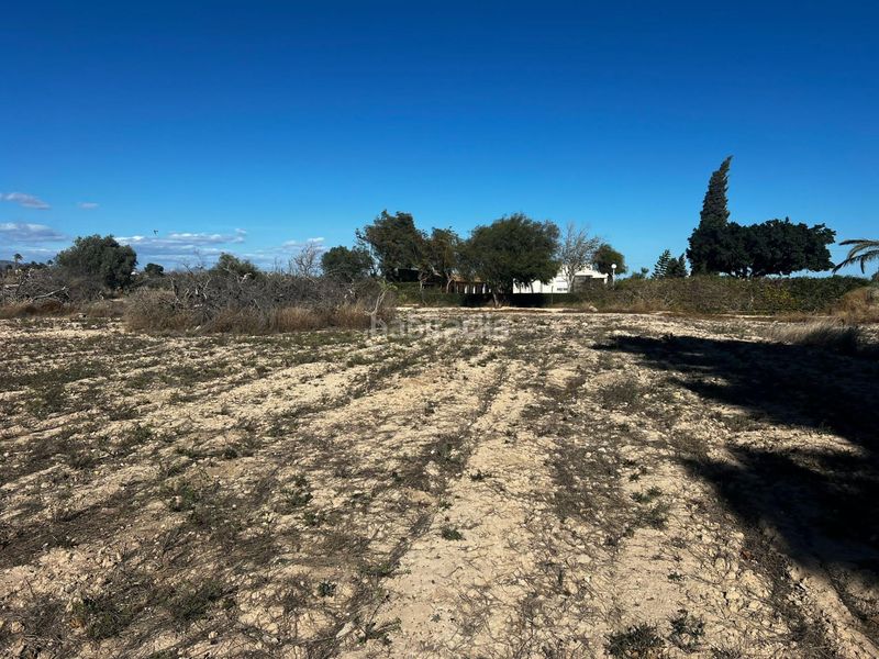 Foto f4d19de6-4420-46e6-b762-01e821bf65f4. Casa a Perleta - Maitino Elche / Elx