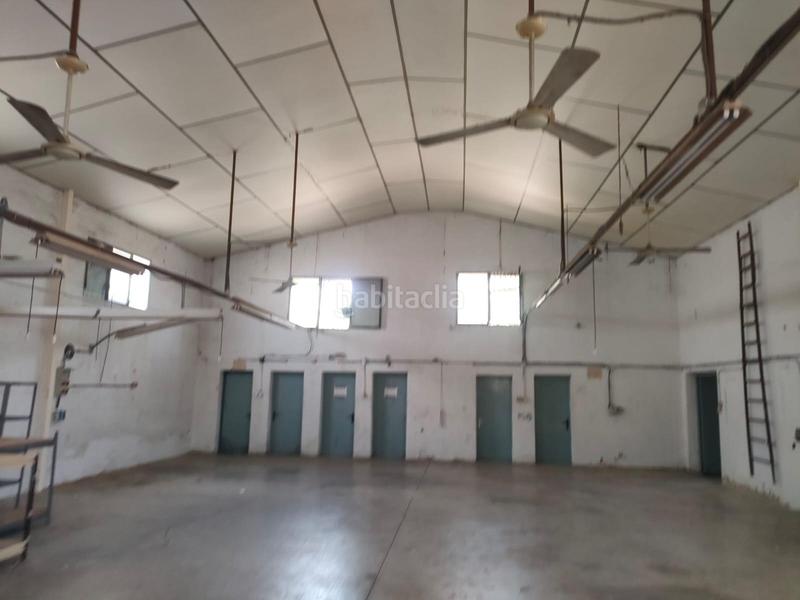 Foto f5067cee-addb-48e6-b6b4-05fd2324e414. Alquiler nave industrial oportunidad nave en alquiler en partida de altabix en Elche / Elx