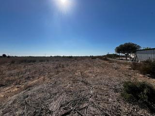 Terreno residencial en Torrellano. Terreno en venta en torrellano