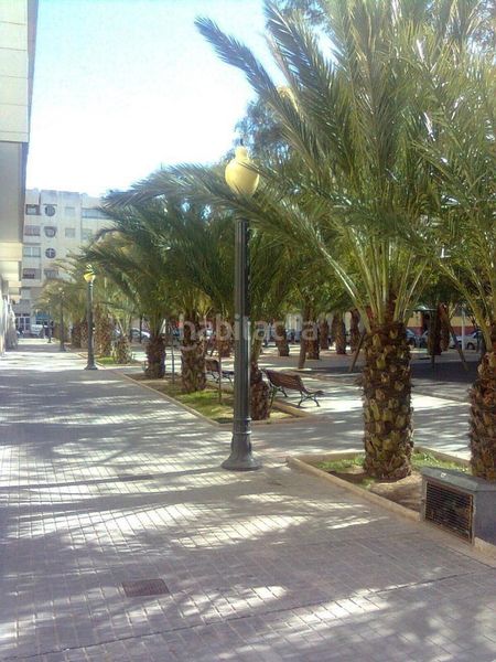 Foto c3b64516-ace1-4561-b7f2-c0a0dcbdb10d. Lloguer pis a Altabix Elche / Elx