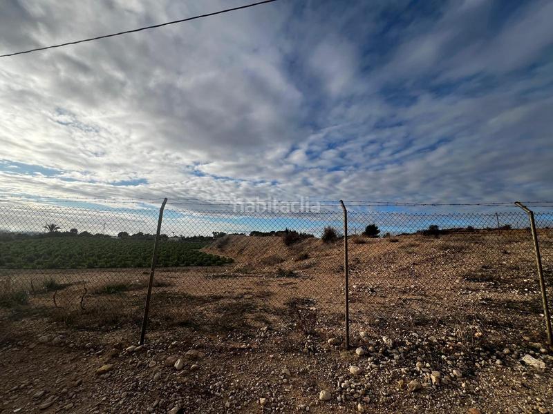 Foto 1bb33a3a-e756-4cf4-a8e7-9235b903060a. Fondo rustico in Peña de las Águilas Elche / Elx