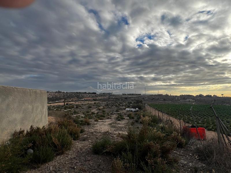 Foto 3f513fef-a46b-4bdd-afce-55e3e37cc5ae. Fondo rustico in Peña de las Águilas Elche / Elx