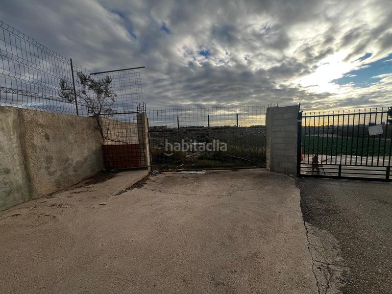 Foto 522fa9bf-298c-4d31-a7f8-fa703ede8013. Fondo rustico in Peña de las Águilas Elche / Elx