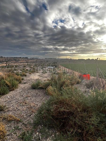 Foto a0b30071-f862-4c7a-bb7d-6022896fe576. Fondo rustico in Peña de las Águilas Elche / Elx
