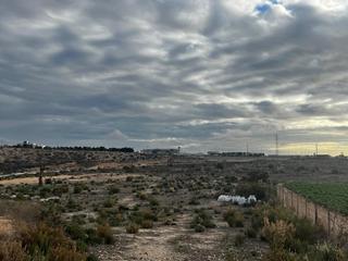 Finca rústica a Peña de las Águilas. Parcela edificable en peña las aguilas
