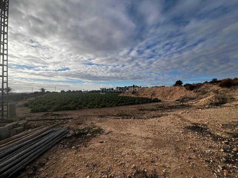 Foto de7c6d9a-6b67-4061-a01d-7318eb8a1d66. Fondo rustico in Peña de las Águilas Elche / Elx