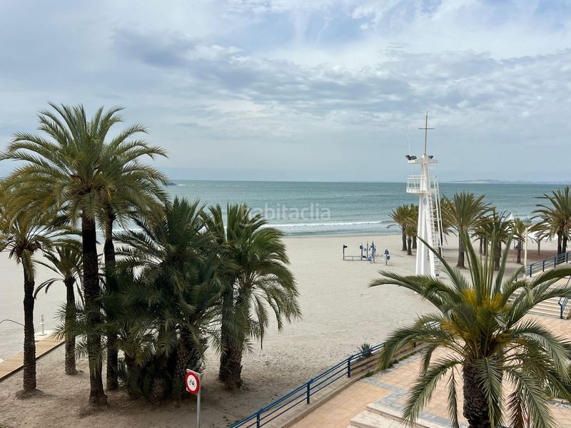 Foto c5484b59-cfc6-4c93-a51c-9567005390ab. Pis a Playa Levante Santa Pola