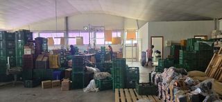 Miete Fabrikhalle in Jubalcoi. Nave industrial en alquiler en elche parque empresarial  2500
