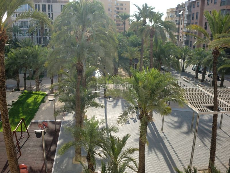 Foto a726d221-bcf4-4578-99f5-3039864d4498. Pis a Centro Elche / Elx