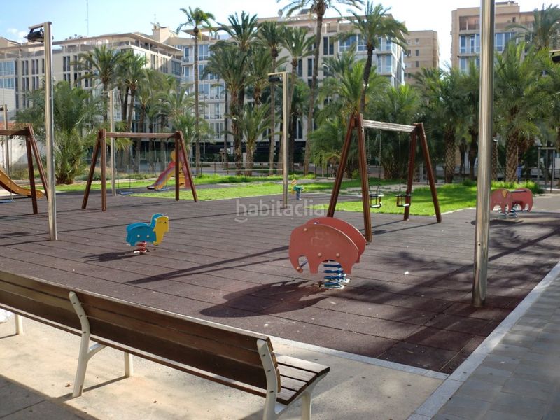 Foto a9131d77-9ab1-4cc7-a693-1ee1746d15aa. Pis a Centro Elche / Elx