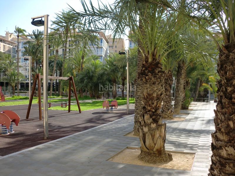 Foto e96dd0b9-48f9-4ffe-86fb-3c9851aa3748. Pis a Centro Elche / Elx
