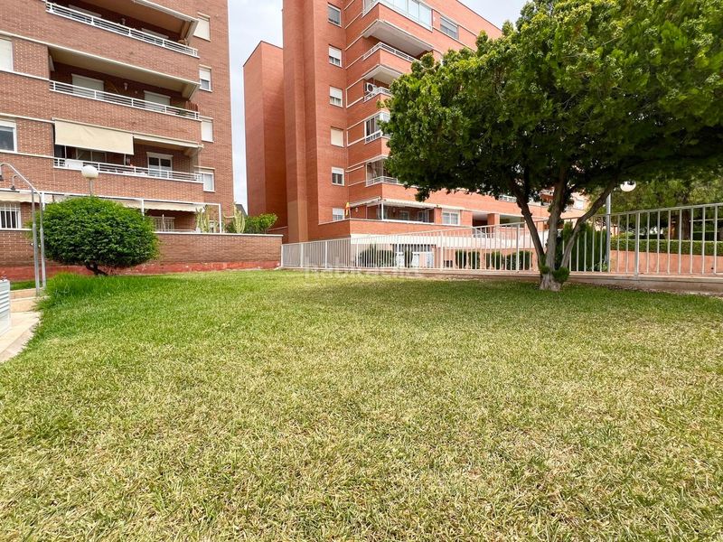Foto 5d97ee71-eecc-42cf-b214-3153d6f48a2e. Casa amb aparcament piscina a Ciutat Esportiva Elche / Elx