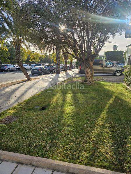 Foto 03236ebd-4675-4d66-9211-5f6d3a42b15c. Lloguer oficina a Torrellano Elche / Elx