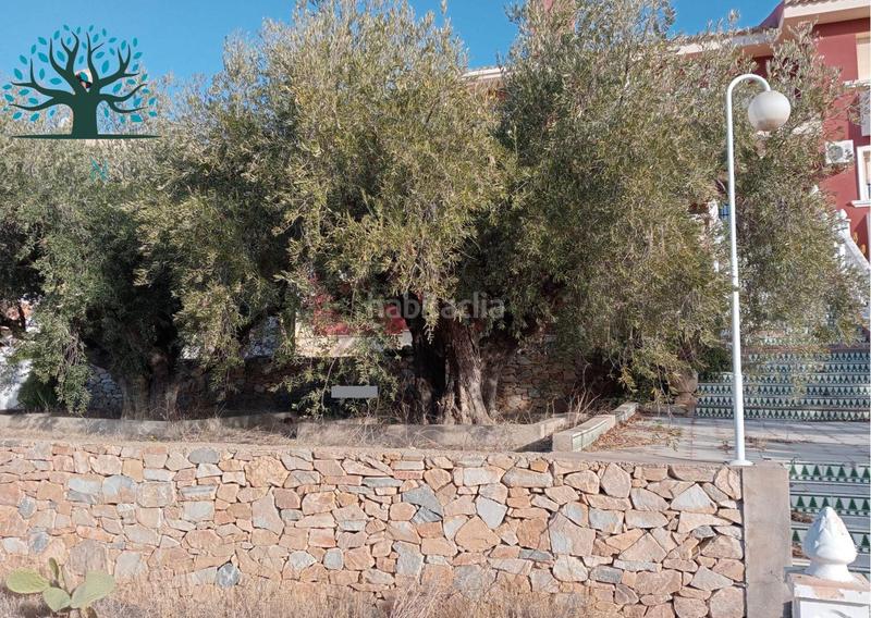 Foto 7ead50cc-9fd7-487e-bda5-236cf845331d. Chalet espectacular chalet pueblo en Mazarrón casco urbano Mazarrón