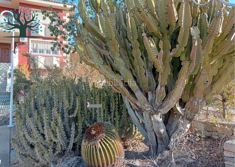 Foto ff23cf5e-6ed7-4213-b4f0-8b2faa78a78e. Chalet espectacular chalet pueblo en Mazarrón casco urbano Mazarrón