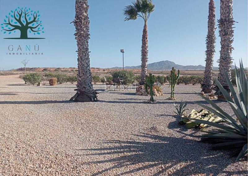 Foto 290792eb-e07f-4fae-b57f-8001a401bbce. Maison dans pasaje duende cánovas dans Las Cánovas - Cuevas de Reyllo Fuente Álamo de Murcia