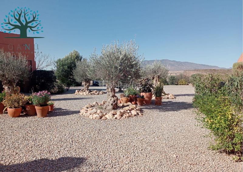 Foto d6b98044-2322-4df6-a0d3-1bb4619bb263. Maison dans pasaje duende cánovas dans Las Cánovas - Cuevas de Reyllo Fuente Álamo de Murcia