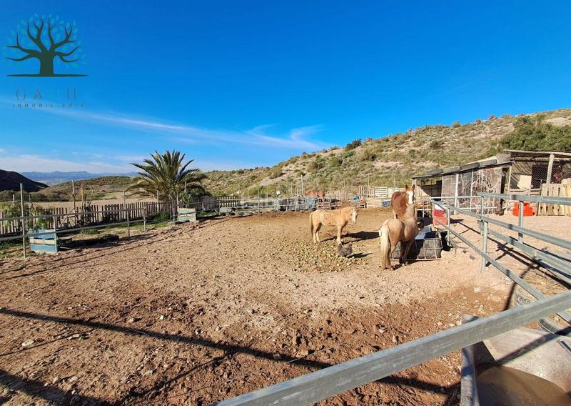 Foto ae4dab1d-f726-454d-a9f5-fb523556174a. Haus mit parking pool in Mazarrón casco urbano Mazarrón