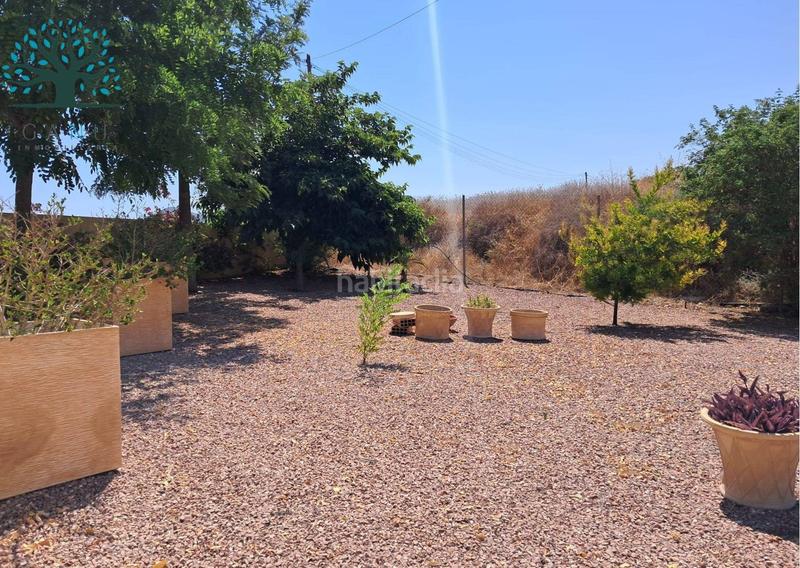 Foto 0a090f21-1d74-4f3f-80bc-0c3954f04167. Casa  de campo en la majada en Mazarrón casco urbano Mazarrón